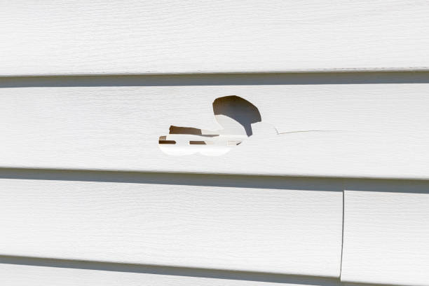 Best Steel Siding Installation  in Exander City, AL