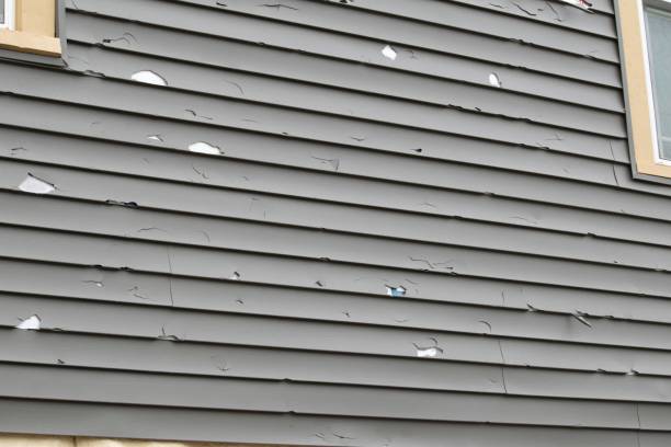 Best Siding Removal and Disposal  in Exander City, AL
