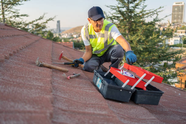 Best Siding Painting and Refinishing  in Exander City, AL