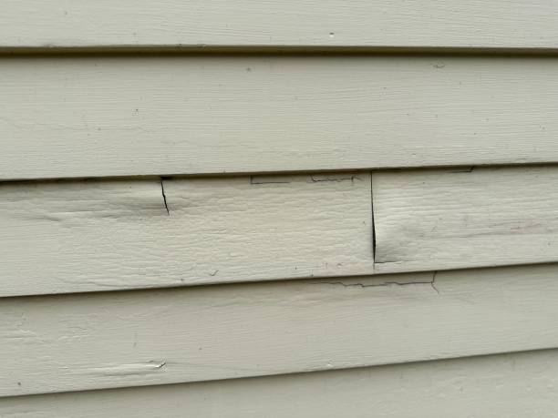 Best Insulated Siding Installation  in Exander City, AL